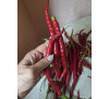 Насіння перцю гострого Кайенський довгий Джо (Cayenne Joe's Long) 